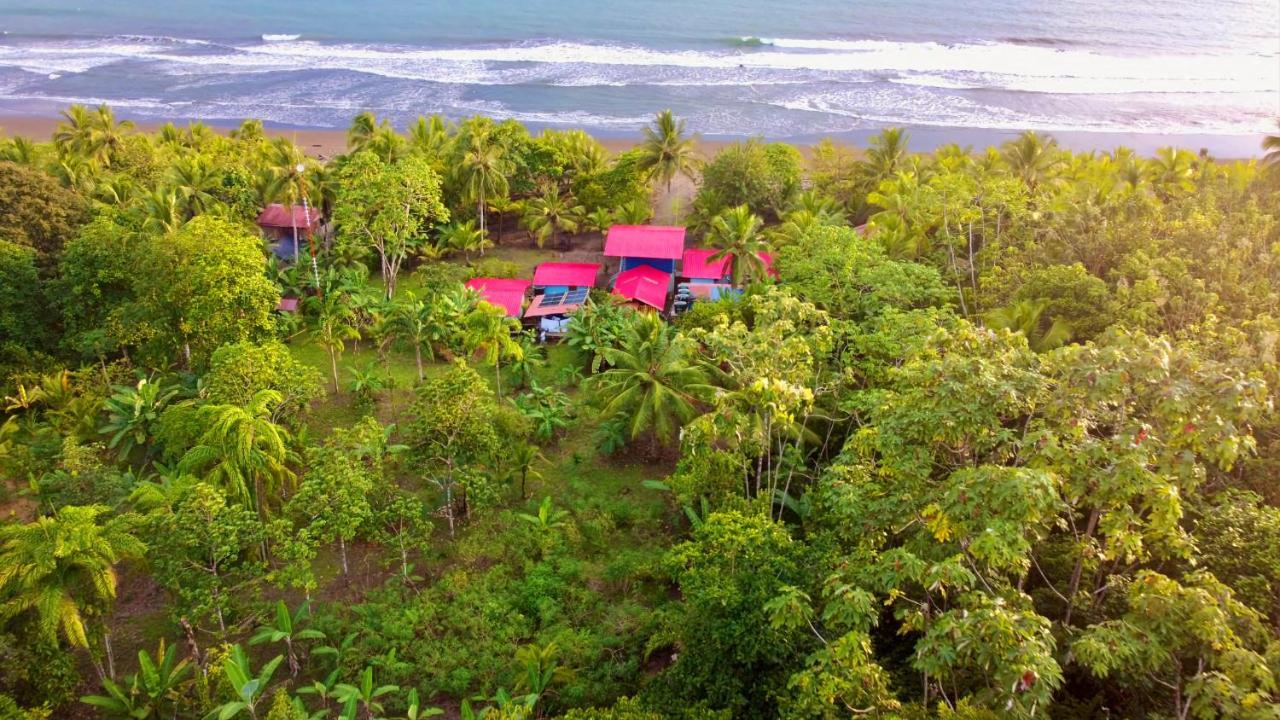 Tortuga Bay Eco Hotel El Valle  ภายนอก รูปภาพ