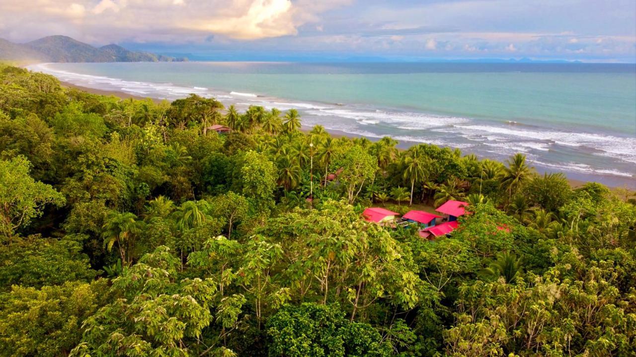 Tortuga Bay Eco Hotel El Valle  ภายนอก รูปภาพ