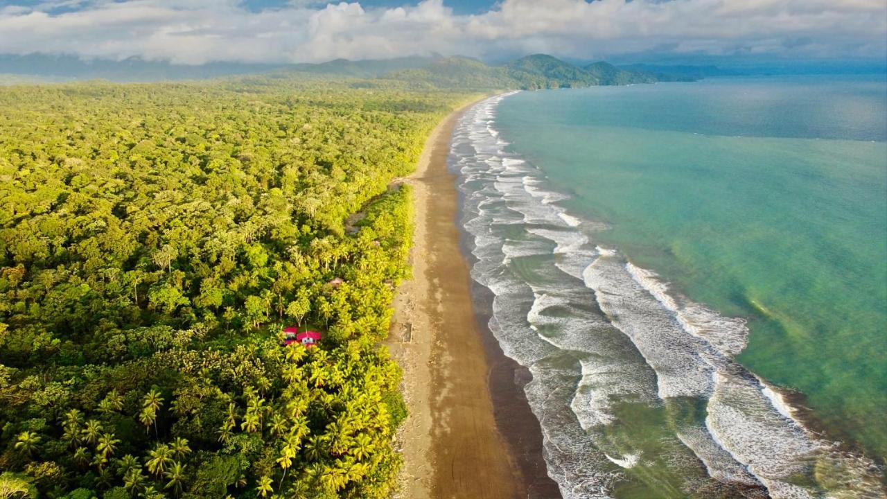 Tortuga Bay Eco Hotel El Valle  ภายนอก รูปภาพ