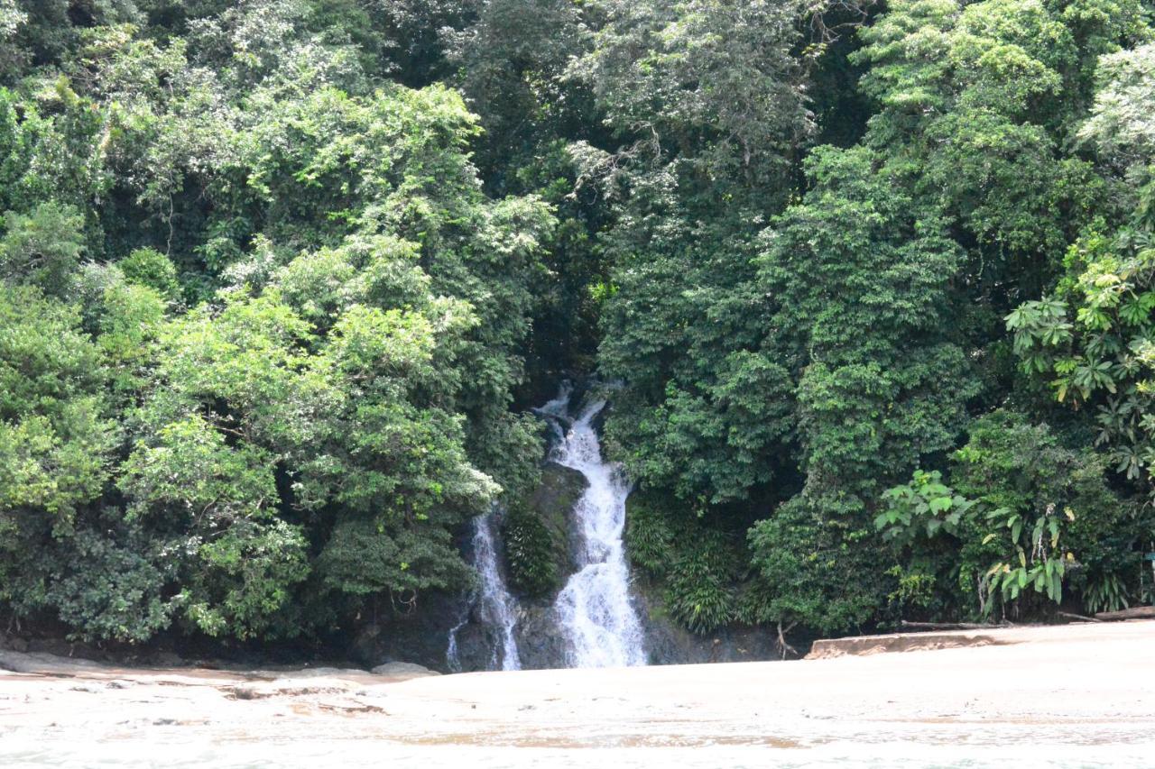 Tortuga Bay Eco Hotel El Valle  ภายนอก รูปภาพ