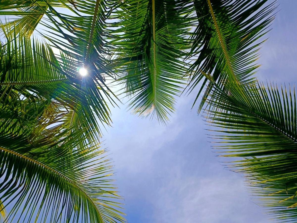 Tortuga Bay Eco Hotel El Valle  ภายนอก รูปภาพ