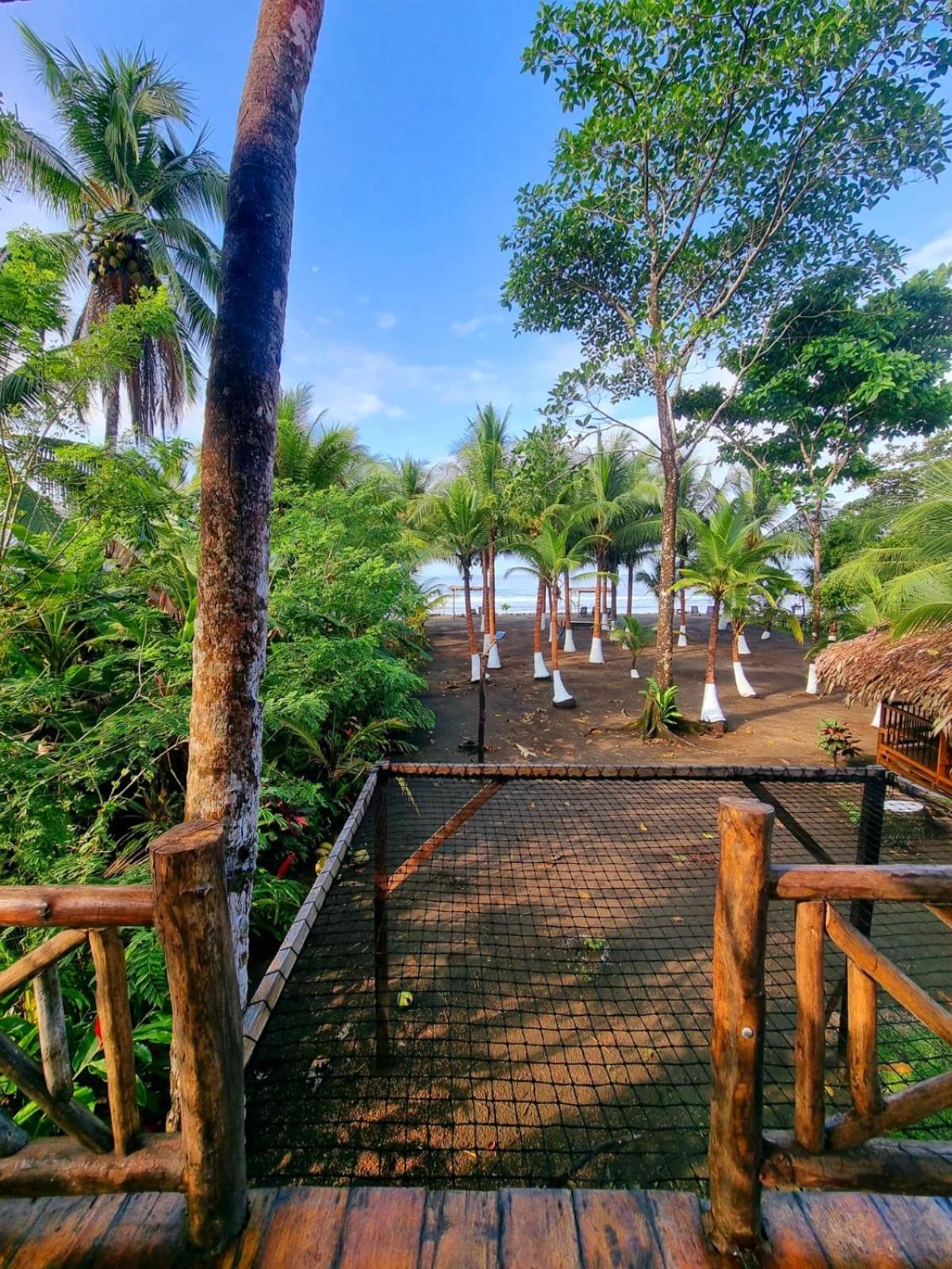 Tortuga Bay Eco Hotel El Valle  ห้อง รูปภาพ