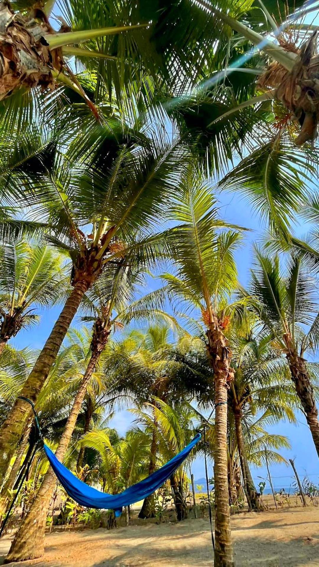 Tortuga Bay Eco Hotel El Valle  ภายนอก รูปภาพ