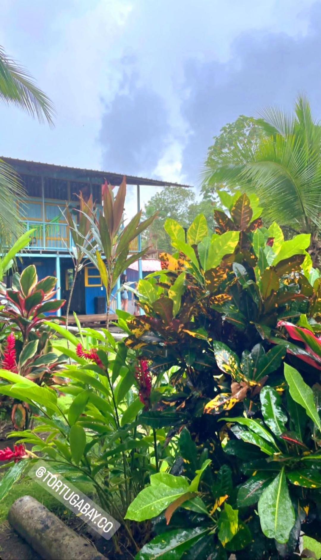 Tortuga Bay Eco Hotel El Valle  ภายนอก รูปภาพ