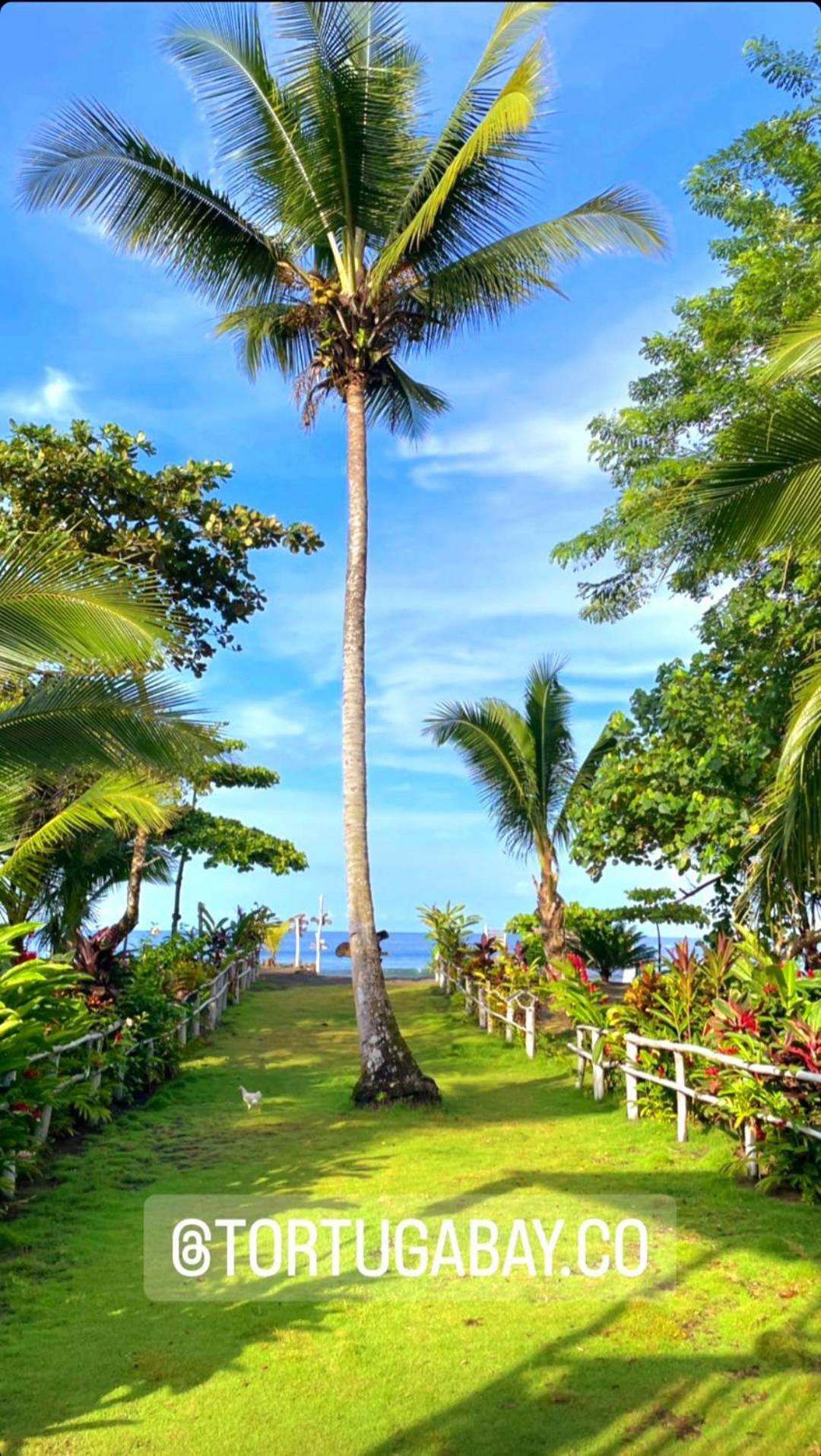 Tortuga Bay Eco Hotel El Valle  ภายนอก รูปภาพ